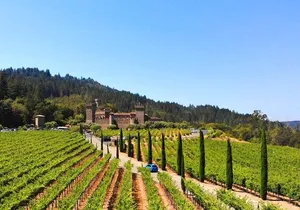 Full Day Private Napa Valley Wine Experience