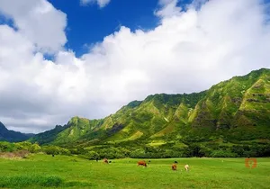 Self-Guided Audio Driving Tour in Oahu Hawaii