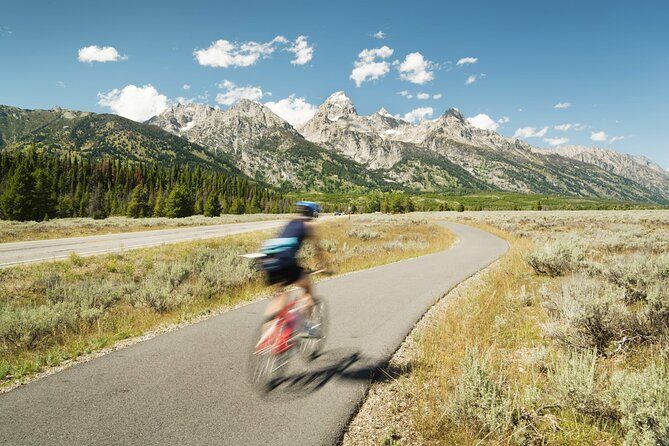 Grand Teton Full Day Private Wildlife & Biking Tour