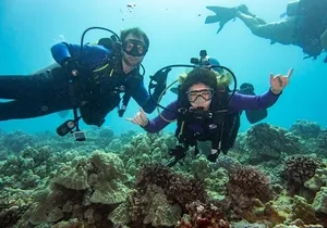 Small Group Shallow Reef Dive in Oahu