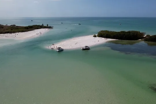 St. Pete Dolphin Watching and Shelling Adventure