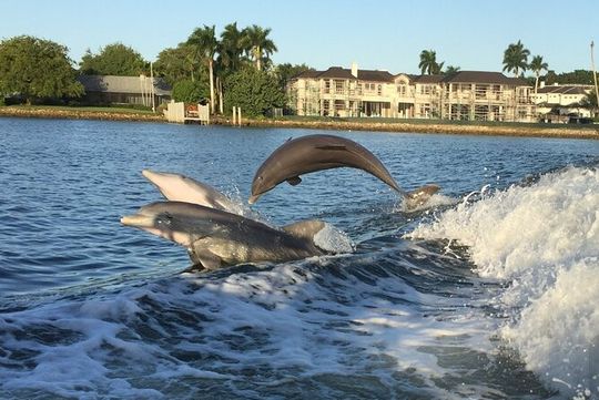 Naples Sightseeing Day Cruise 40' Vessel