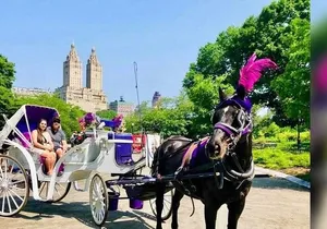 CENTRAL PARK TOUR,Central park sightseeing tours.Flexible Tours