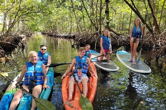 Mangrove Jungle Exploration on SUP/Kayak