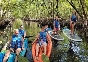 Mangrove Jungle Exploration on SUP/Kayak