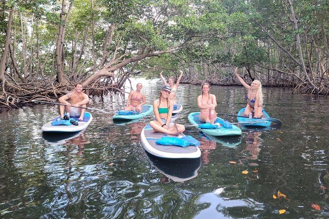 Mangrove Jungle Exploration on SUP/Kayak