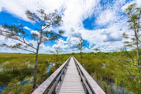 Everglades National Park: Self Guided Driving Audio Tour