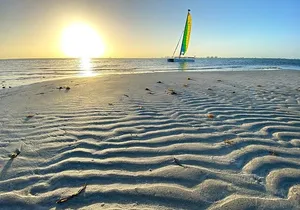 Half-Day Private Guided Sailing Adventure of Miami's Biscayne Bay