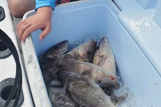 Sonnys Boat Tours Half Day Off Shore Fishing Charter Englewood Fl