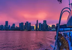 Miami Sunset and City Lights Cocktail Cruise