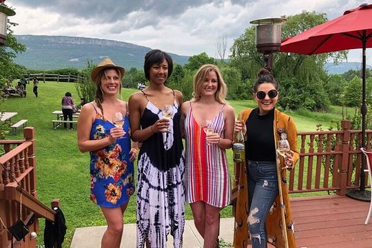 Hudson Valley Wine and Food Day Trip with Sommelier host from NYC