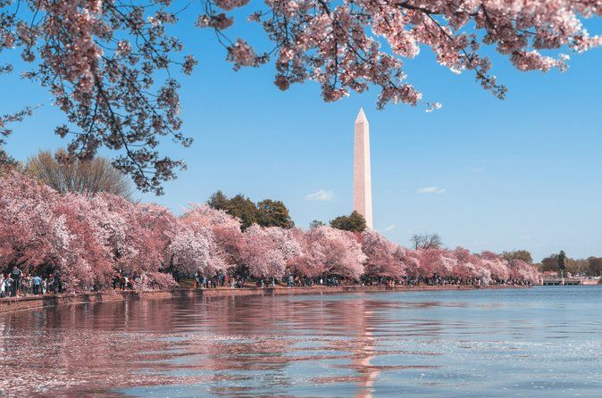 DC Monuments Tour with 10+ Sites & Washington Monument Ticket