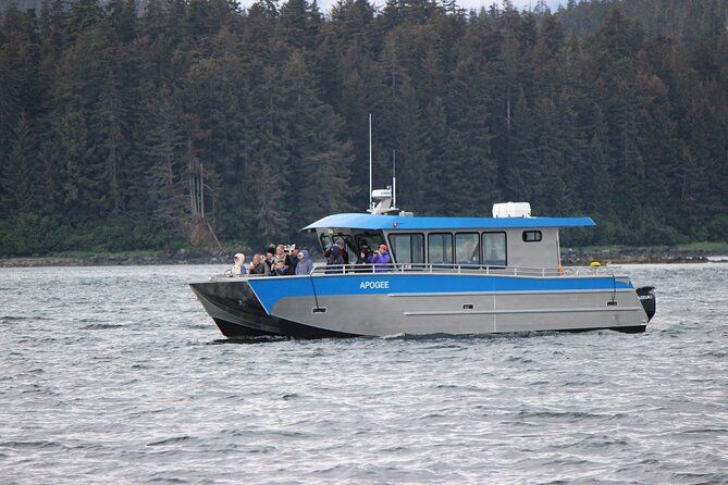 Wonderful Whales and Wildlife Tour