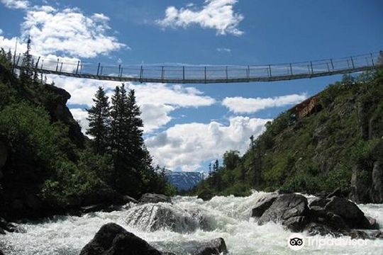 Summit Experience & Yukon Suspension Bridge Tour