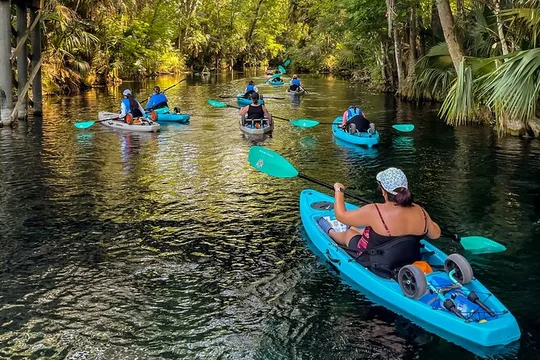 Silver Springs Kayak Tour Glass Bottom
