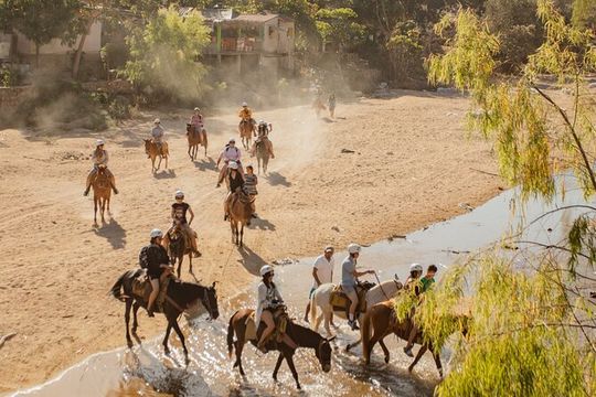 Sea Safari & Beach BBQ at secluded Pizota jungle beach