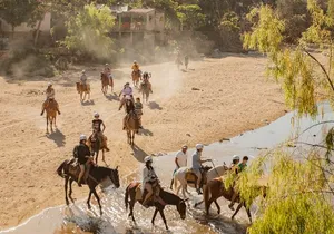 Sea Safari & Beach BBQ at secluded Pizota jungle beach