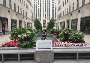 Half Day Tour in New York