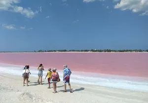 Full-Day Tour to Las Coloradas Pink Paradise in Yucatan and Rio Lagartos.