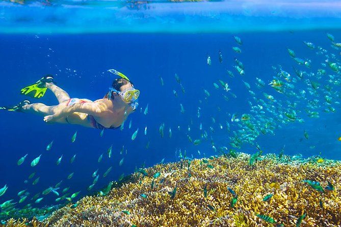 Private 3-Hour Snorkeling Tour with Arch Tour and Beach Time