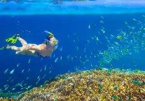 Private 3-Hour Snorkeling Tour with Arch Tour and Beach Time