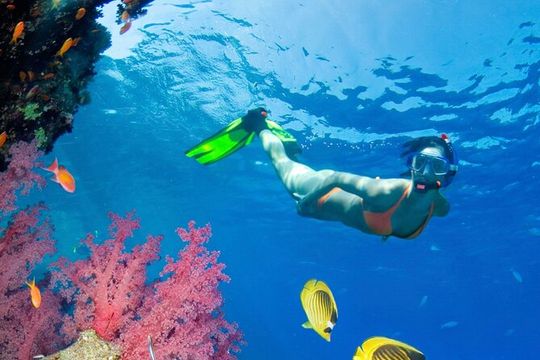 Puerto Morelos Catamaran Reef Sail and Snorkel