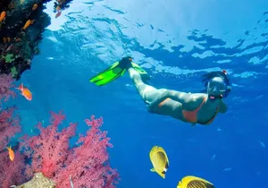 Puerto Morelos Catamaran Reef Sail and Snorkel