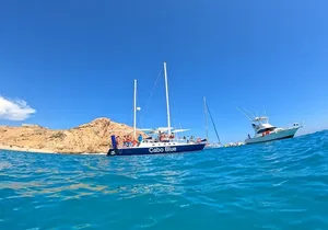 Cabo Blue Snorkeling Cruise, Open Bar and Lunch in Cabo San Lucas