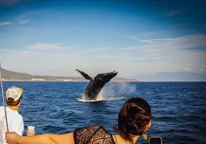 Ultimate Whale Watching Experience All-Inclusive