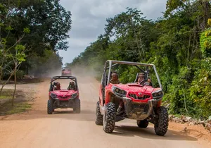 Jungle Buggy Tour from Playa del Carmen Including Cenote Swim