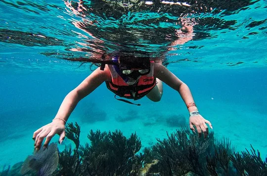 The Tulum Sea Turtle and Rays 1.5 Hours Snorkel Experience