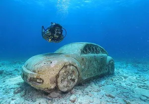 Two Tanks Scuba Diving for Beginners in Cancun
