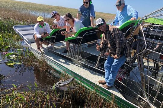 60 Minutes Small Group Everglades Airboat Ride in Miami
