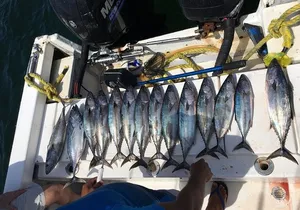 sport fishing