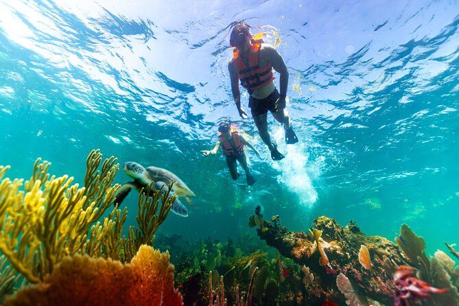 3-in-1 Puerto Morelos: Snorkeling, Tequila & Beachside Lunch