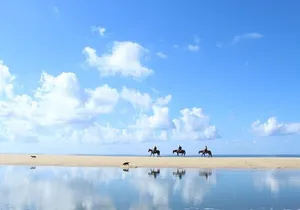 Horseback Riding Tour in Cabo San Lucas