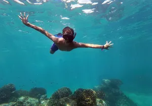 Whale Watching & Snorkeling Combo in Los Cabos with Photos Included