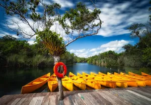 Tulum Ruins and 3 Cenotes - Jungle Adventure