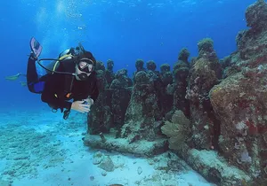 2 Tanks Dives Cancun Underwater Museum for Certified Divers