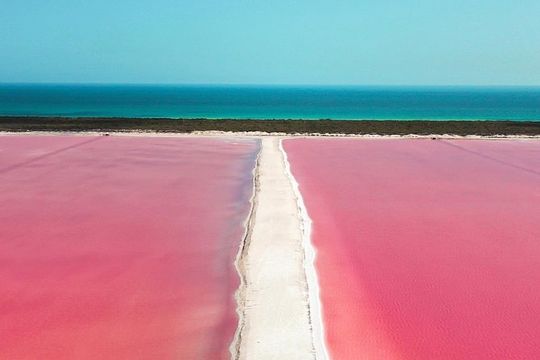 Discover the FABULOUS PINK WATERS in the Caribean