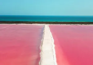 Discover the FABULOUS PINK WATERS in the Caribean
