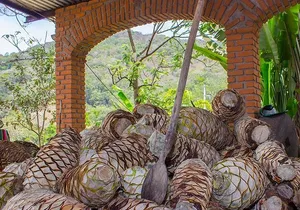 City and Tequila Tour in Puerto Vallarta