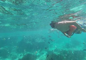 Isla Mujeres Snorkeling Adventure at the Underwater Museum