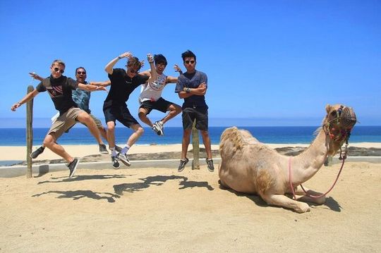 Camel Encounter and Safari Ride with Lunch and Alcohol Tasting