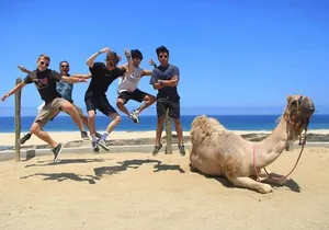 Camel Encounter and Safari Ride. Includes lunch & alcohol tasting