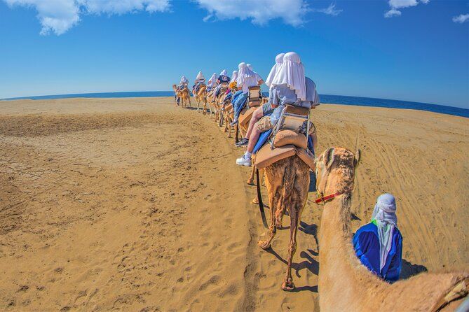 Outback Camel Ride