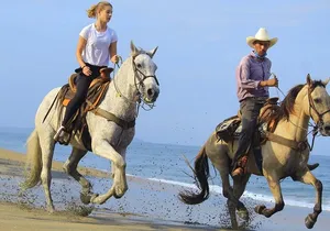 Horseback Riding in Sayulita Through Jungle Trails to the Beach
