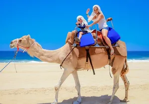 Outback Camel Ride