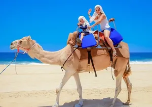 Outback Camel Ride