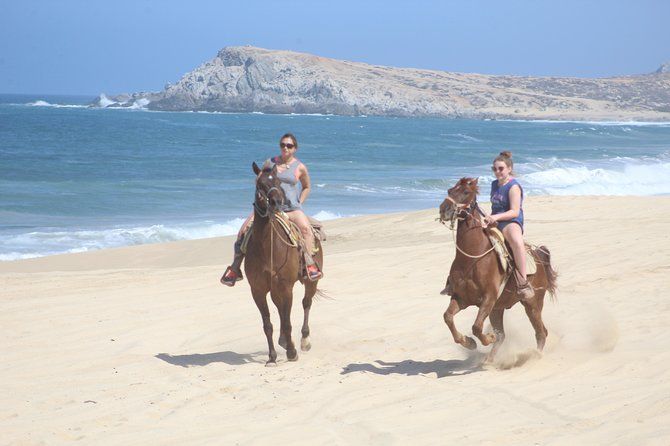 Cabo White Sand Horseback Riding Tour and Tequila Tasting